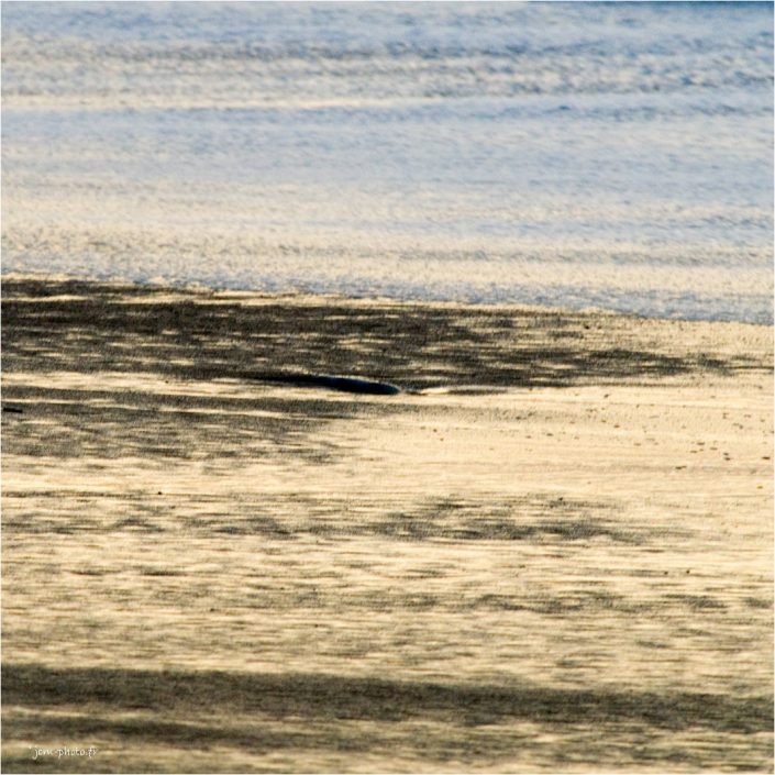 Beachboy-13 abstrait JeanClaudeM jcm-photo