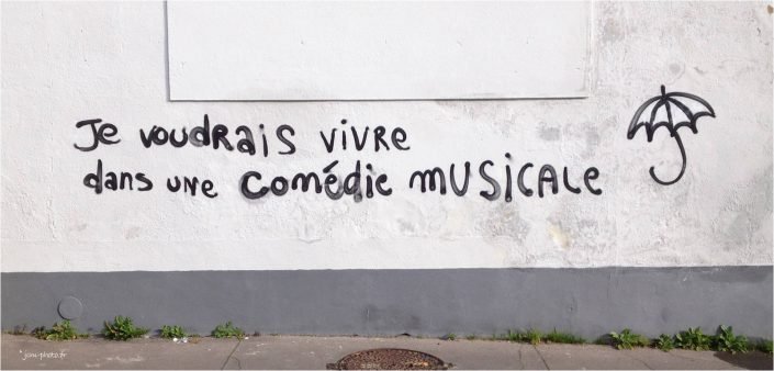 comedie-musicale_jcm-photo_JeanClaudeM