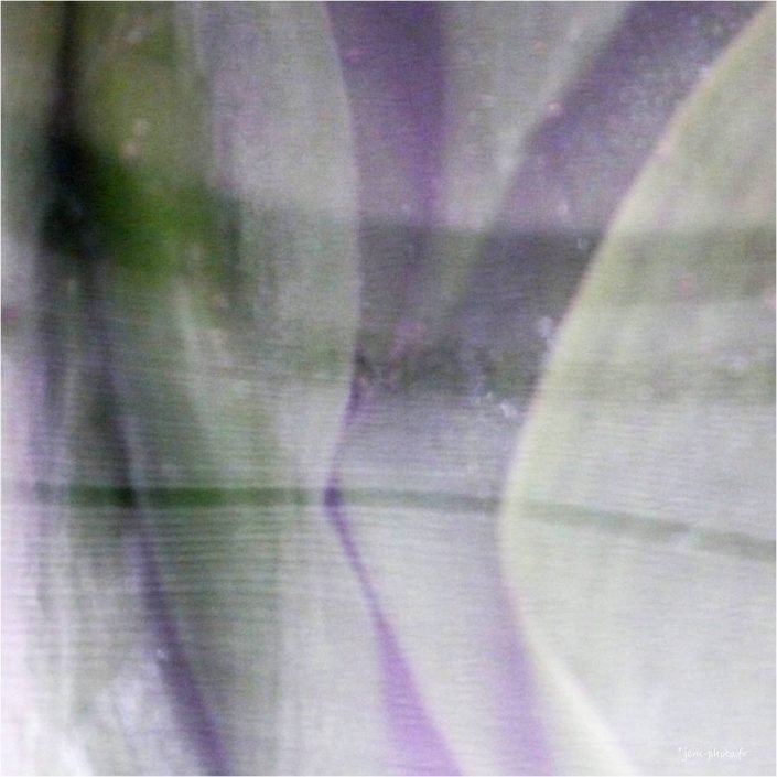 Green_enigma-01 abstrait JeanClaudeM jcm-photo