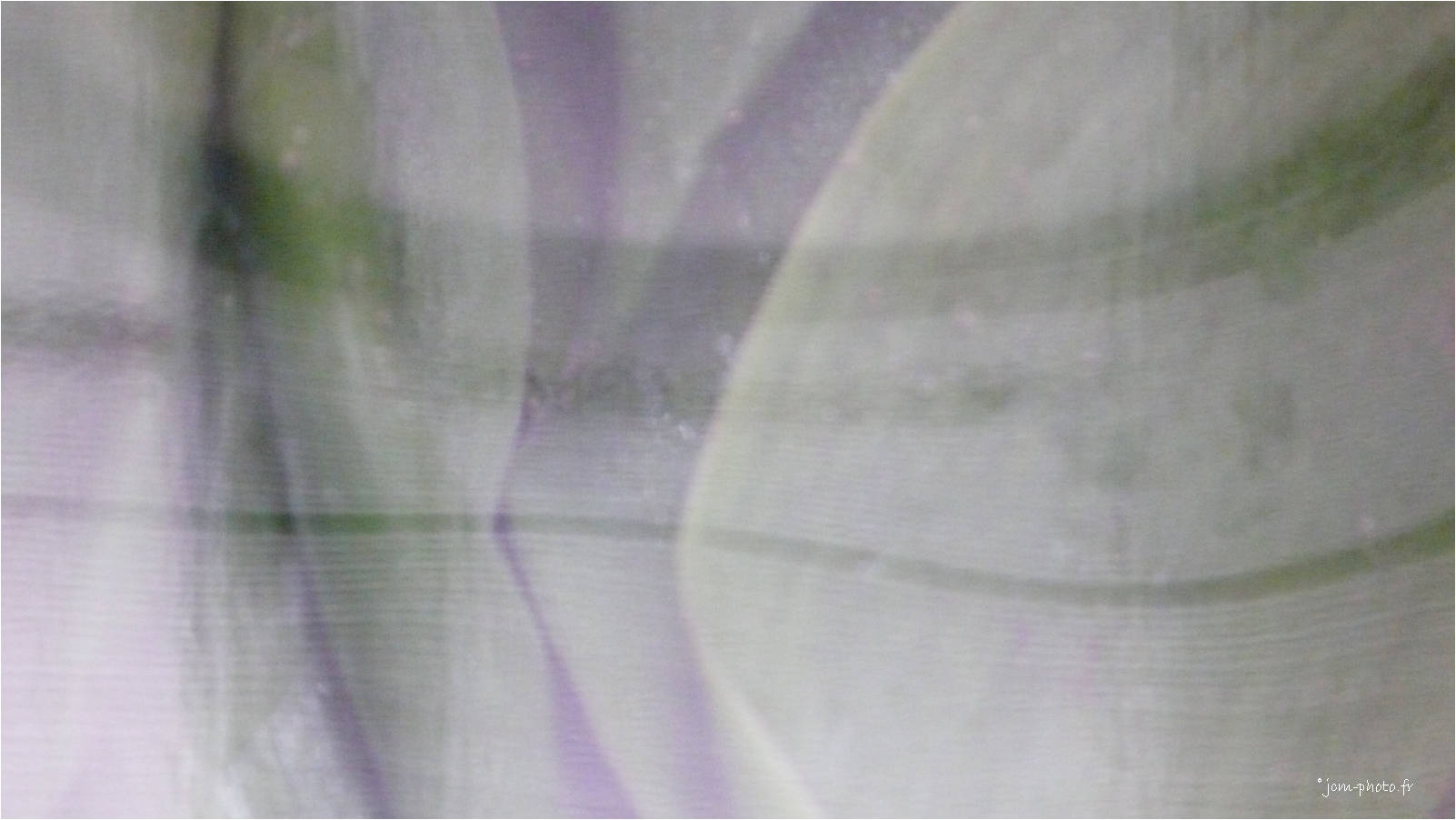 green enigma JeanClaudeM jcm-photo