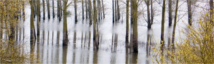 Pieds dans l'eau JeanClaudeM jcm-photo Maine arbres
