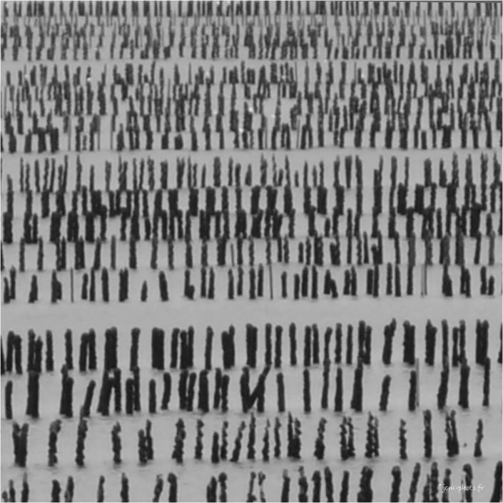 sticks-1000776 jcm-photo Jean-ClaudeM